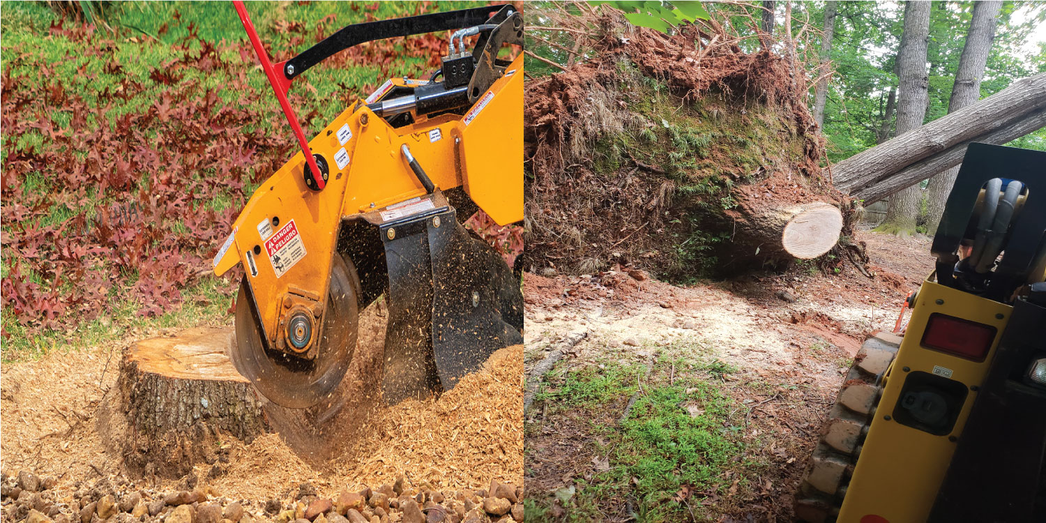 stump removal arbor solutions 