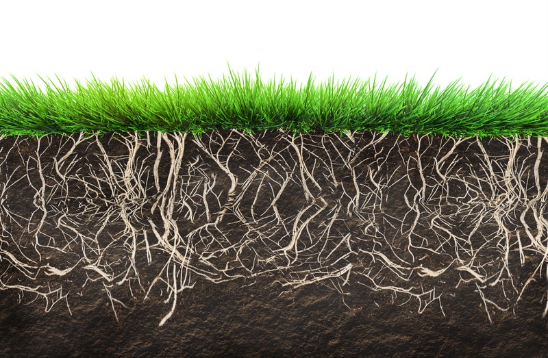 soil management 