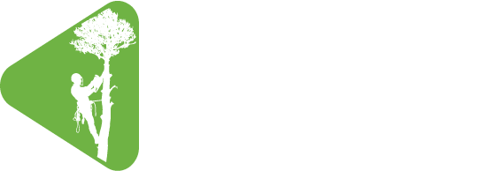 Arbor Solutions Tree Service white logo